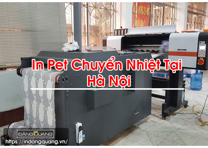 In Pet Chuyển Nhiệt Tại Hà Nội
