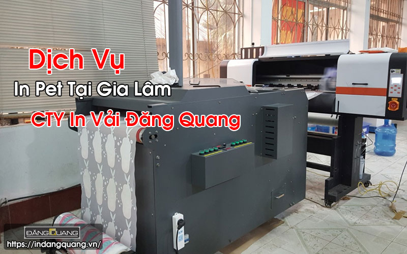 In Pet Tại Gia Lâm
