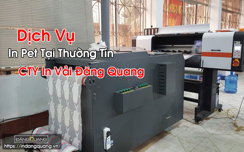 In Pet Tại Thường Tín